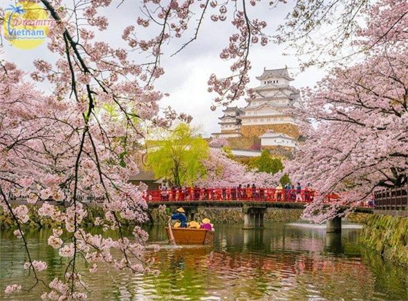 Tour Nhật Bản Mùa Hoa Anh Đào Giá Rẻ Nhất -Bay Vietjet Air Tour Nhật Bản Mùa Hoa Anh Đào Giá Rẻ Nhất -Bay Vietjet Air